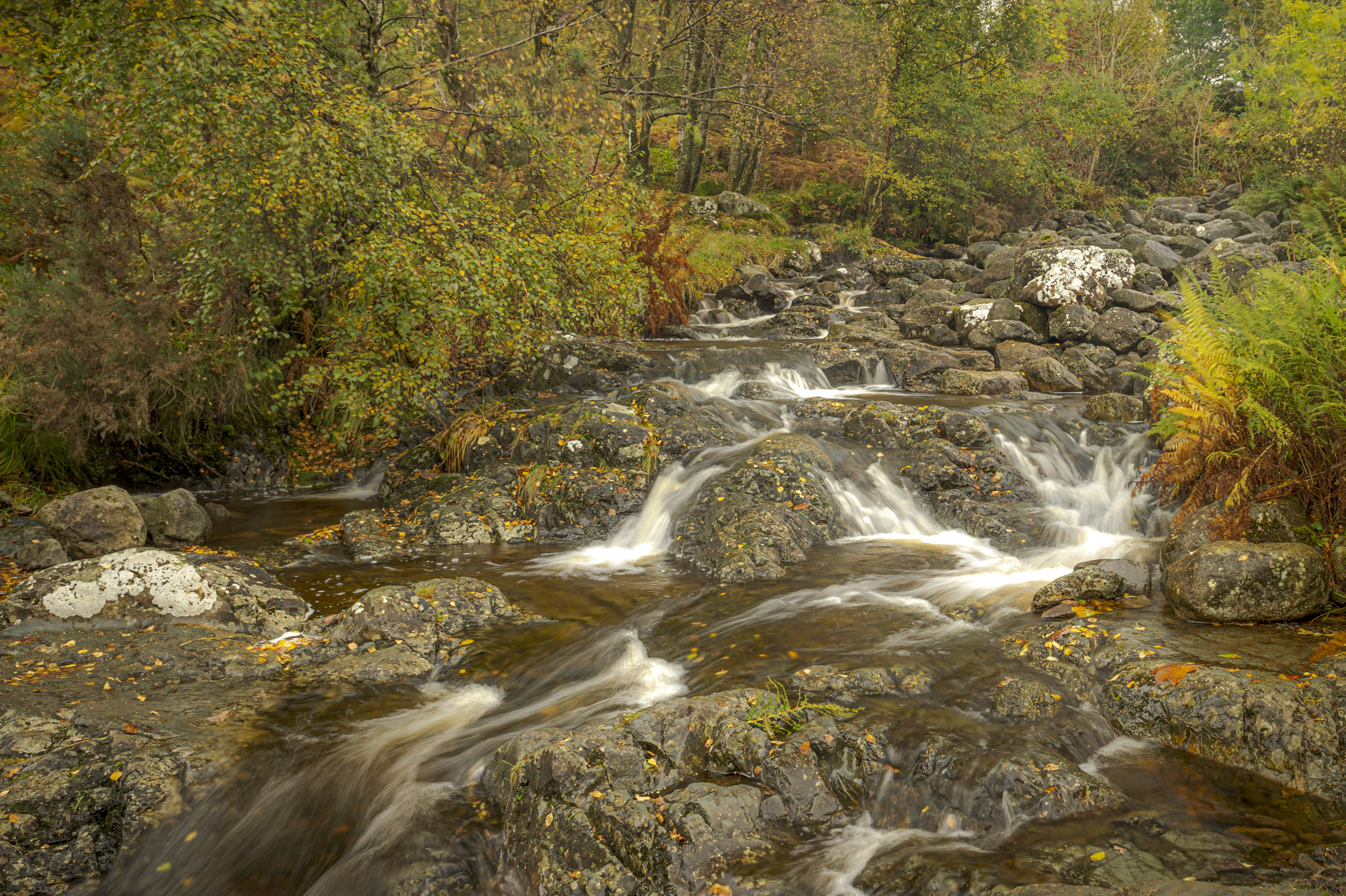 A Meandering Waterfall