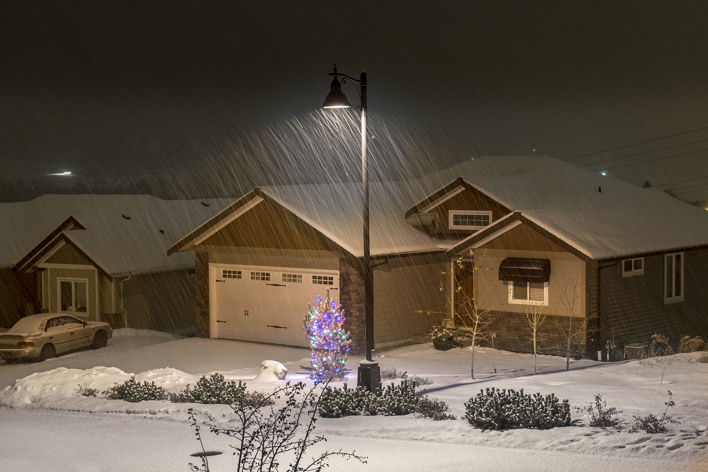Christmas Snow Shower