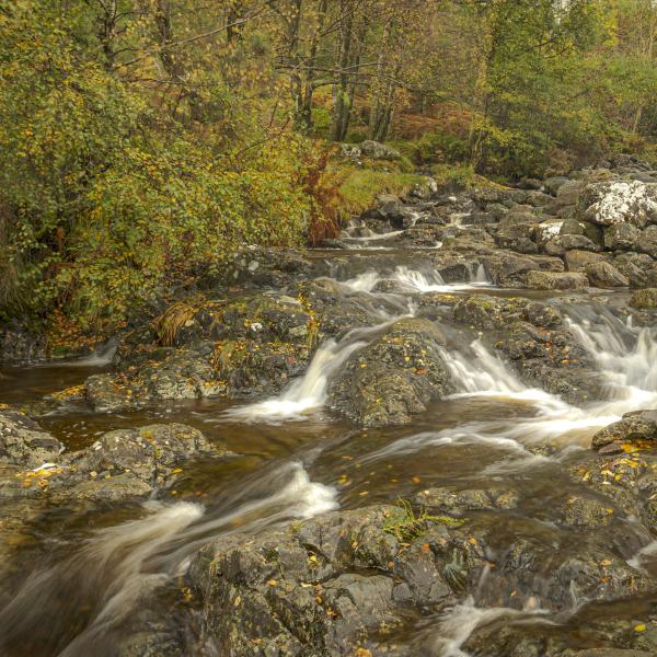 A Meandering Waterfall