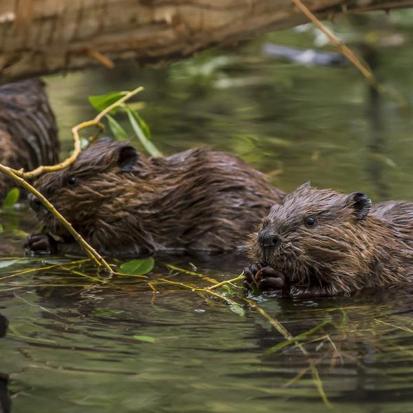 A Very Special Moment