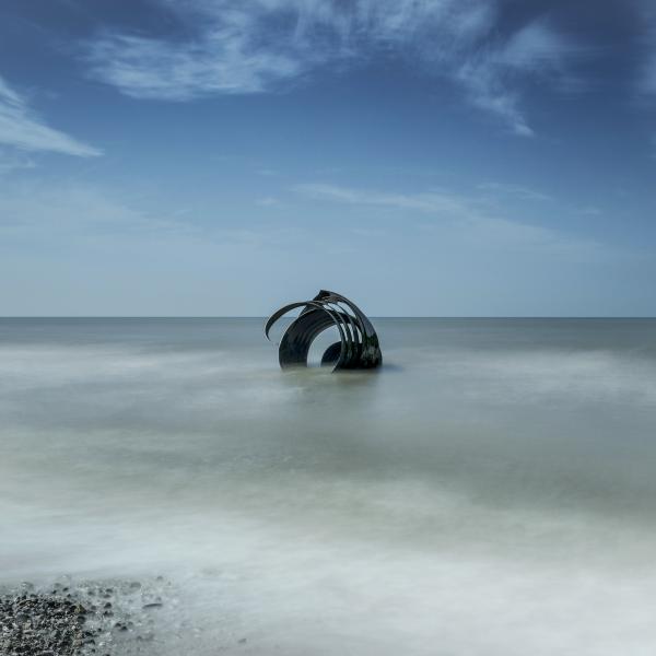 Mary's Shell Rising Tide