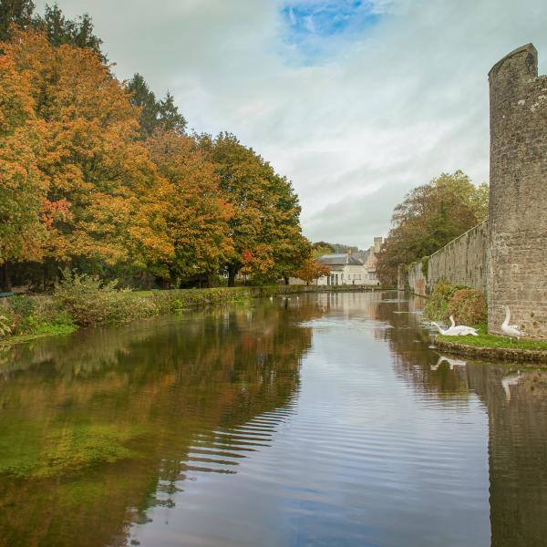The Bishops Palace Moat